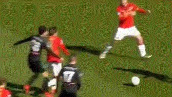 青少年羽毛 青少年羽毛